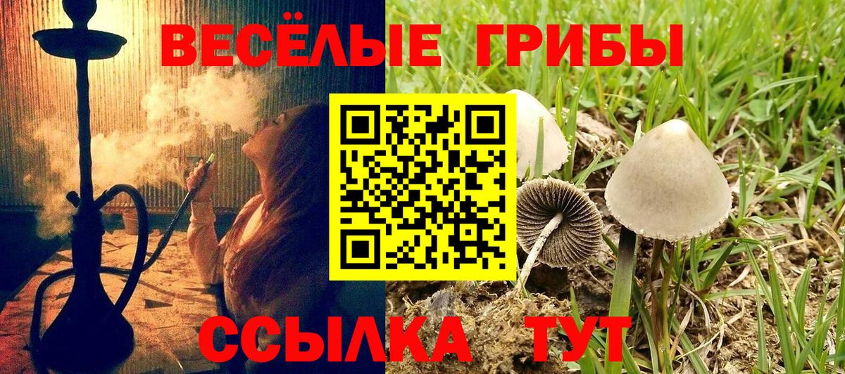 Галлюциногенные грибы мицелий Мурманск